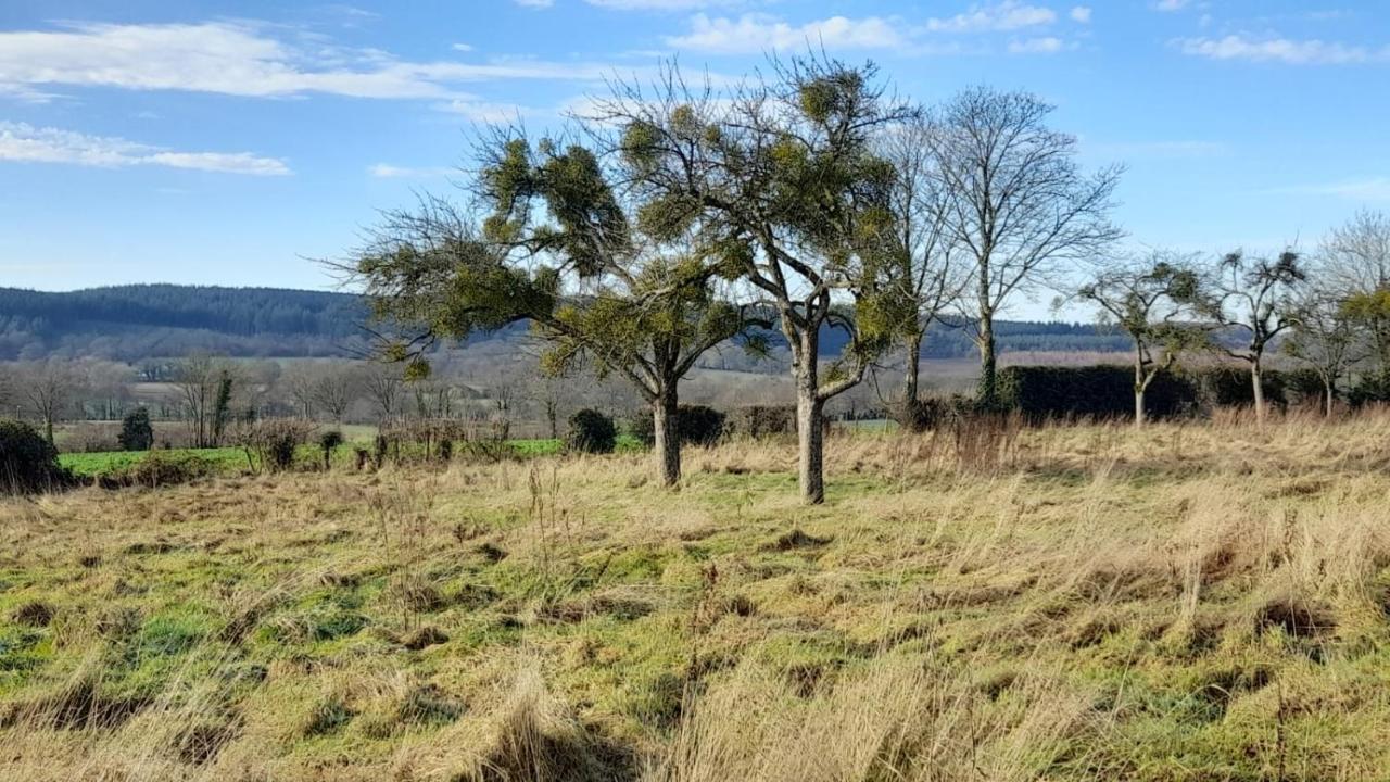 Gite Cottage Chaleureux En Pleine Campagne Vue Sur Les Monts Et Forets Et Le Chateau De Carrouges Buitenkant foto