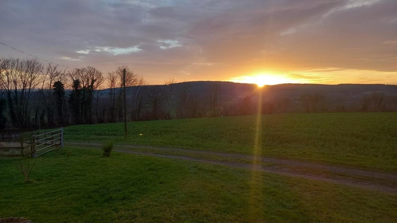 Gite Cottage Chaleureux En Pleine Campagne Vue Sur Les Monts Et Forets Et Le Chateau De Carrouges Buitenkant foto